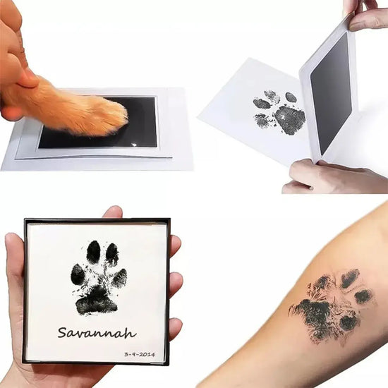 Paw & Print Keepsake Kit
