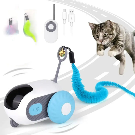 Smart Pet Play Car