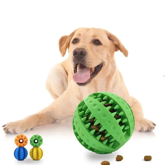 Interactive Chew Ball Toy